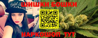гашик Бузулук