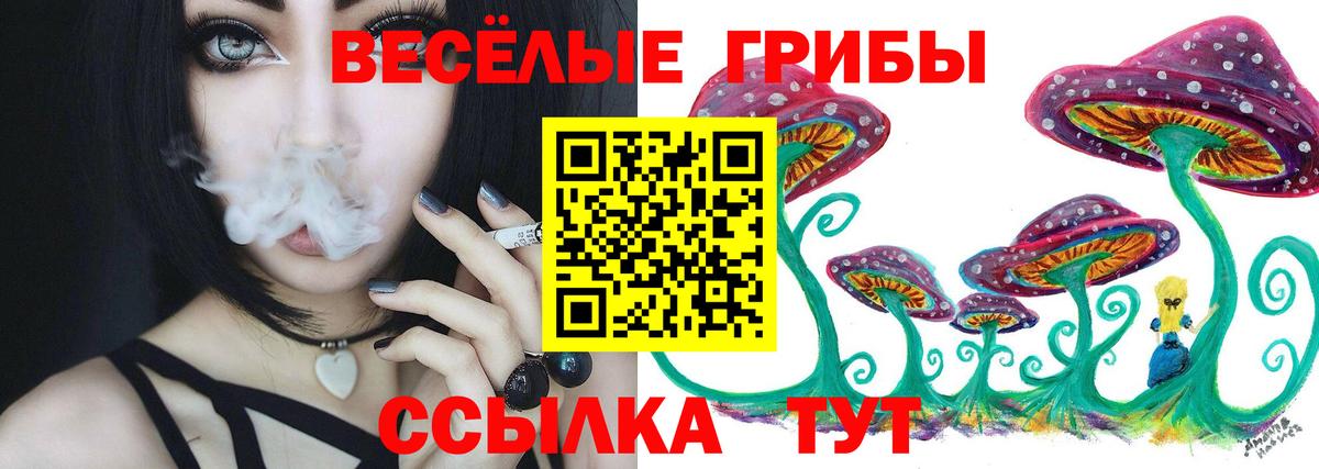 Галлюциногенные грибы Cubensis Краснознаменск